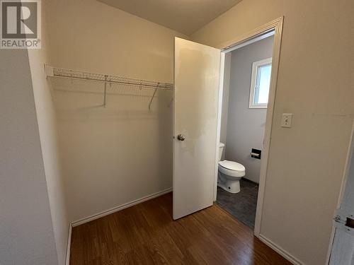 9212 Pollon Avenue, Hudsons Hope, BC - Indoor Photo Showing Bathroom