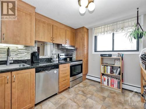 415 Greenview Avenue Unit#307, Ottawa, ON - Indoor Photo Showing Kitchen
