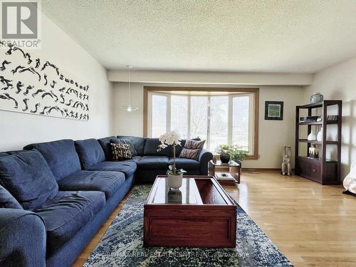 58 Ferndale Crescent, Brampton, ON - Indoor Photo Showing Living Room