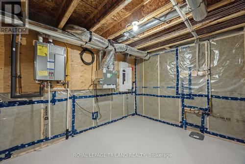 43 Silverleaf Path, St. Thomas, ON - Indoor Photo Showing Basement