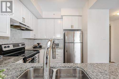 #105 -54 Sky Harbour Dr, Brampton, ON - Indoor Photo Showing Kitchen With Stainless Steel Kitchen With Double Sink With Upgraded Kitchen