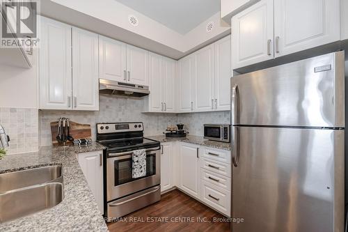 #105 -54 Sky Harbour Dr, Brampton, ON - Indoor Photo Showing Kitchen With Stainless Steel Kitchen With Double Sink