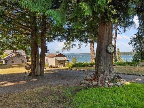 6249 Island Hwy, Union Bay, BC - Outdoor With Body Of Water With View