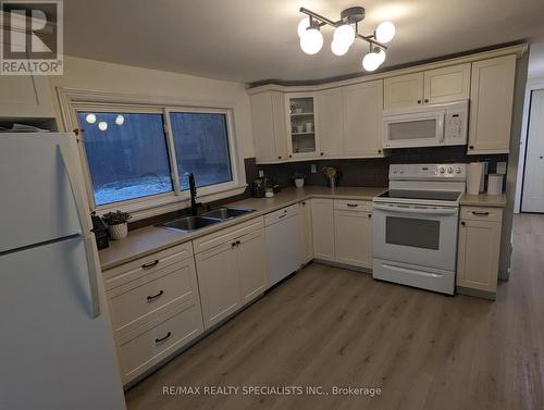 20194 Main Street, Caledon, ON - Indoor Photo Showing Kitchen With Double Sink