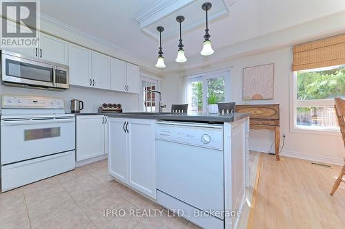 42 Grey Owl St, Halton Hills, ON - Indoor Photo Showing Kitchen