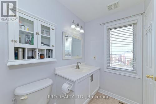42 Grey Owl Run Street, Halton Hills, ON - Indoor Photo Showing Bathroom
