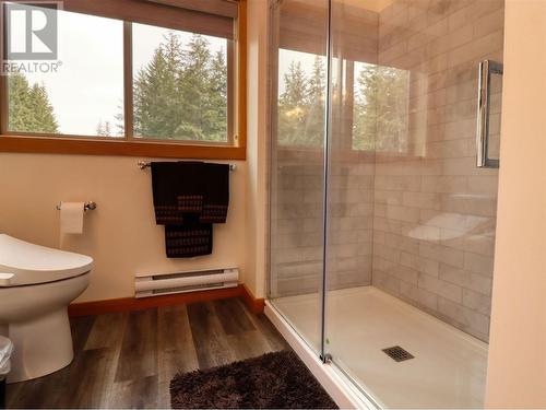 2589 Airstrip Road, Anglemont, BC - Indoor Photo Showing Bathroom