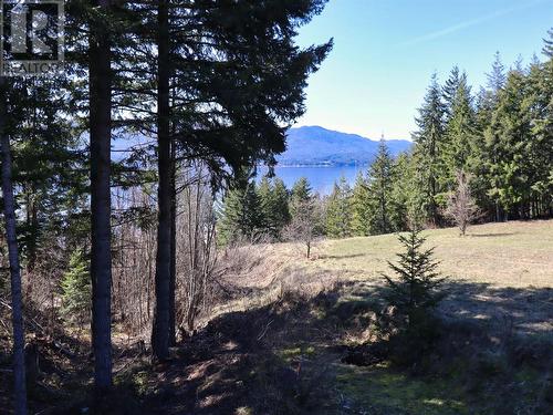 2589 Airstrip Road, Anglemont, BC - Outdoor With View