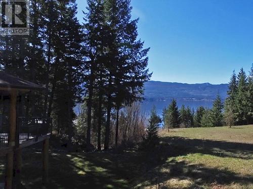 2589 Airstrip Road, Anglemont, BC - Outdoor With View