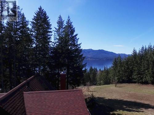 2589 Airstrip Road, Anglemont, BC - Outdoor With View