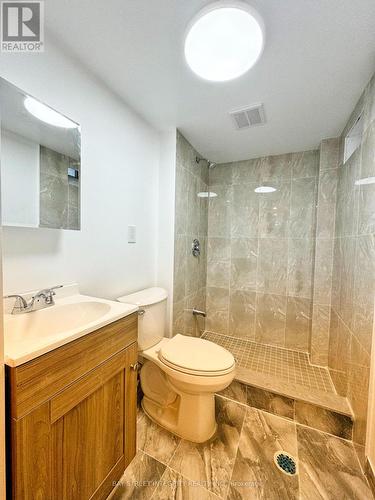 #Lower -387 Coachwhip Tr, Newmarket, ON - Indoor Photo Showing Bathroom