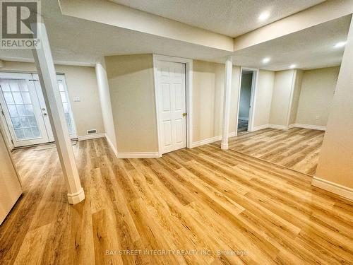 Lower - 387 Coachwhip Trail, Newmarket, ON - Indoor Photo Showing Other Room