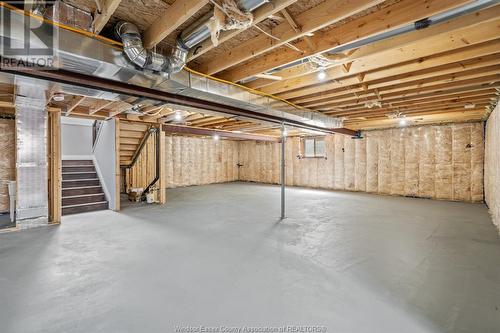 19 Tracy Drive, Chatham, ON - Indoor Photo Showing Basement