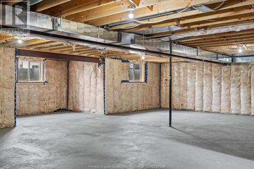 19 Tracy Drive, Chatham, ON - Indoor Photo Showing Basement