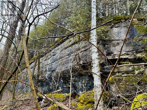 Private Escarpment wall on the property. - 157 Georgian Drive, Northern Bruce Peninsula, ON - Outdoor With View