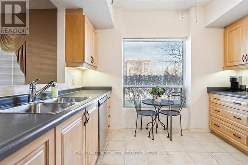 #101 -3497 Upper Middle Rd, Burlington, ON - Indoor Photo Showing Kitchen With Double Sink