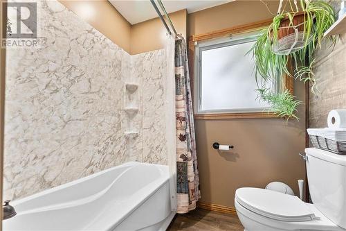 29109 Highway 60 Highway, Whitney, ON - Indoor Photo Showing Bathroom