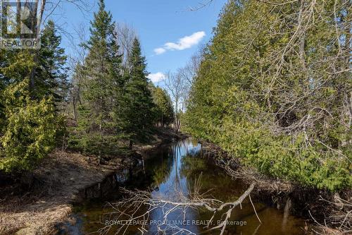 8567 Old Hastings Road, Tudor & Cashel, ON - Outdoor With View