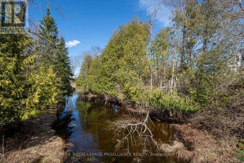 8567 Old Hastings Road, Tudor & Cashel, ON - Outdoor With View