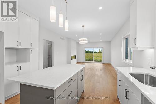 1323 Bush Hill Link, London, ON - Indoor Photo Showing Kitchen