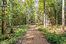 Wooded Trail Systems - Lot 9 Final Plan 3M 268, Saugeen Shores, ON 