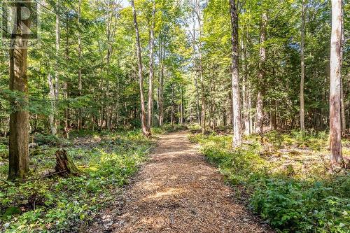 Wooded Trail Systems - Lot 6 Final Plan 3M 268, Saugeen Shores, ON 