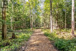 Wooded Trail Systems - 