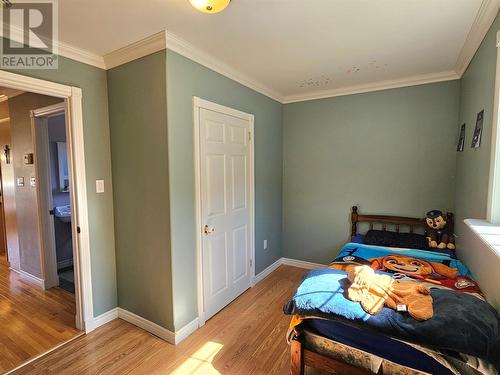 6 Mountainview Drive, Little Rapids, NL - Indoor Photo Showing Bedroom