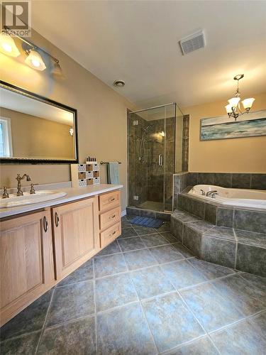 6 Mountainview Drive, Little Rapids, NL - Indoor Photo Showing Bathroom