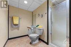 Bathroom in the lower level - 