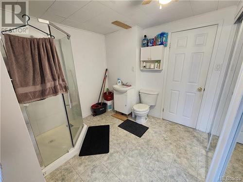 99 St-Georges Avenue, Edmundston, NB - Indoor Photo Showing Bathroom