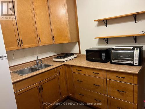 548 Reid Street, Galway-Cavendish And Harvey, ON - Indoor Photo Showing Kitchen With Double Sink