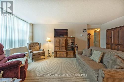 #204 -155 Kent St, London, ON - Indoor Photo Showing Living Room