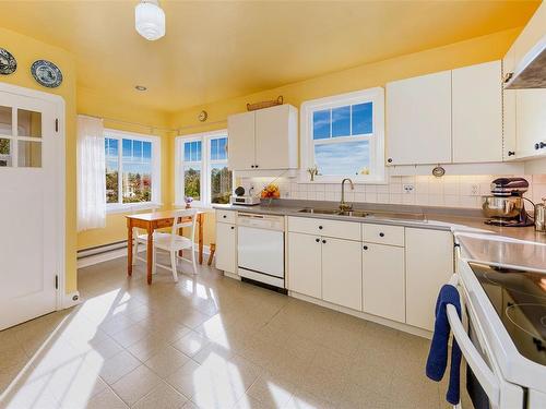 1515 Despard Ave, Victoria, BC - Indoor Photo Showing Kitchen With Double Sink