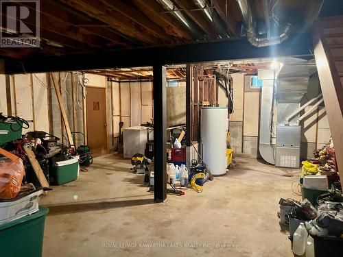 16 Halmar Park Road, Georgina, ON - Indoor Photo Showing Basement