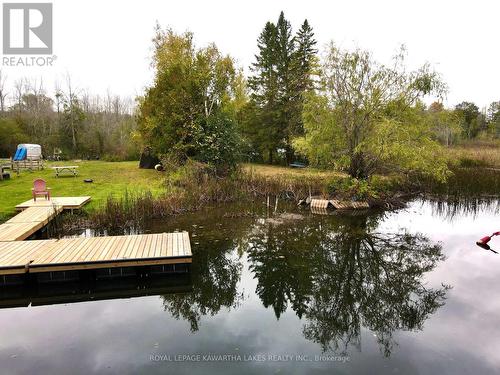 16 Halmar Park Rd, Georgina, ON - Outdoor With Body Of Water