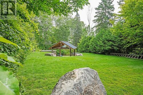 3 Campbell St, Kawartha Lakes, ON - Outdoor