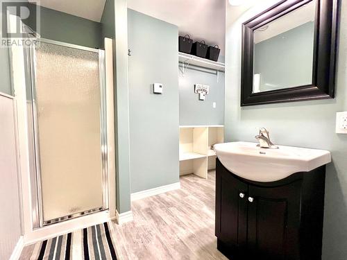 113 Terra Nova Drive, Clarenville, NL - Indoor Photo Showing Bathroom