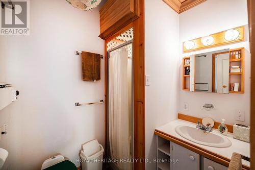 64 Cow Island, Otonabee-South Monaghan, ON - Indoor Photo Showing Bathroom