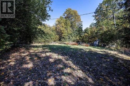 64 Cow Island, Otonabee-South Monaghan, ON - Outdoor With View
