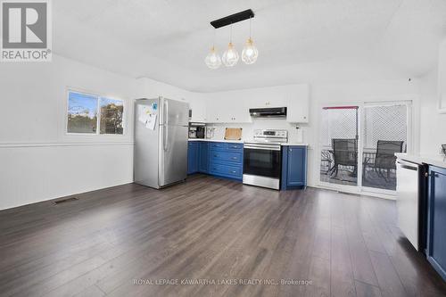 4091 Highway 35, Kawartha Lakes, ON - Indoor Photo Showing Kitchen