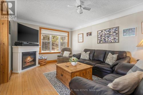 36 Bond St E, Kawartha Lakes, ON - Indoor Photo Showing Living Room With Fireplace