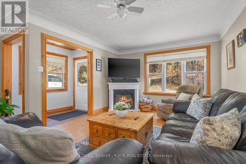 36 Bond St E, Kawartha Lakes, ON - Indoor Photo Showing Living Room With Fireplace