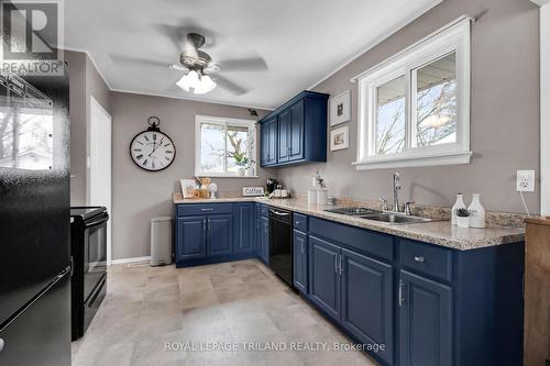 24 Brant Ave, St. Thomas, ON - Indoor Photo Showing Kitchen With Double Sink