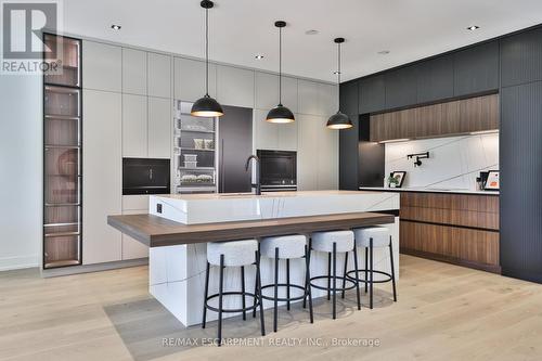 20A Broadview Avenue, Mississauga, ON - Indoor Photo Showing Kitchen With Upgraded Kitchen