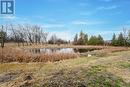 3540 Jobb Rd, Scugog, ON  - Outdoor With View 