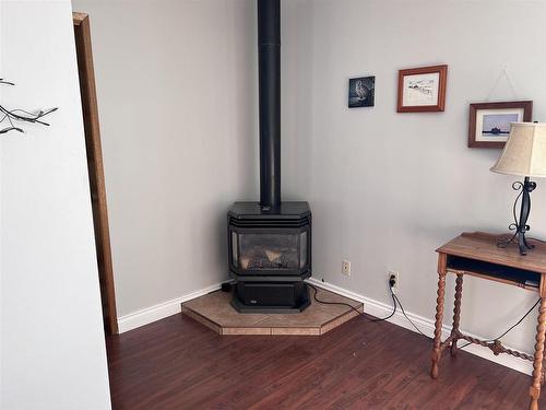 100 Lakeview Drive, Terrace Bay, ON - Indoor With Fireplace