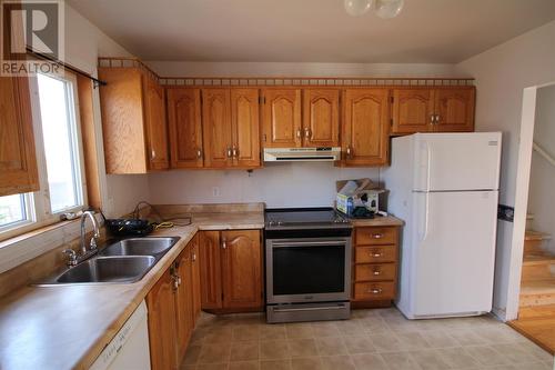 42 Kerry Avenue, Conception Bay South, NL - Indoor Photo Showing Kitchen With Double Sink