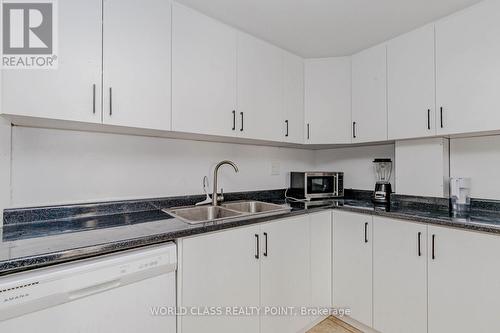 1701 King St E, Cambridge, ON - Indoor Photo Showing Kitchen With Double Sink
