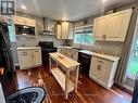 179 Warner Bay Road, Northern Bruce Peninsula, ON  - Indoor Photo Showing Kitchen With Double Sink 